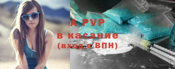 сатива Магас