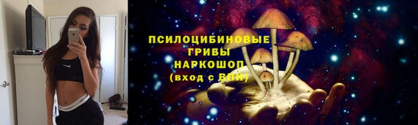 ПСИЛОЦИБИНОВЫЕ ГРИБЫ Медногорск