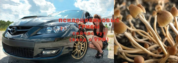мяу мяу мука Мегион