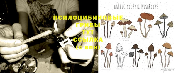 ПСИЛОЦИБИНОВЫЕ ГРИБЫ Медногорск