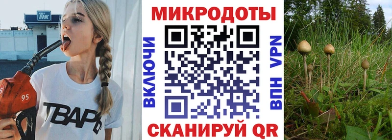 Псилоцибиновые грибы GOLDEN TEACHER  Купить где  Судак 